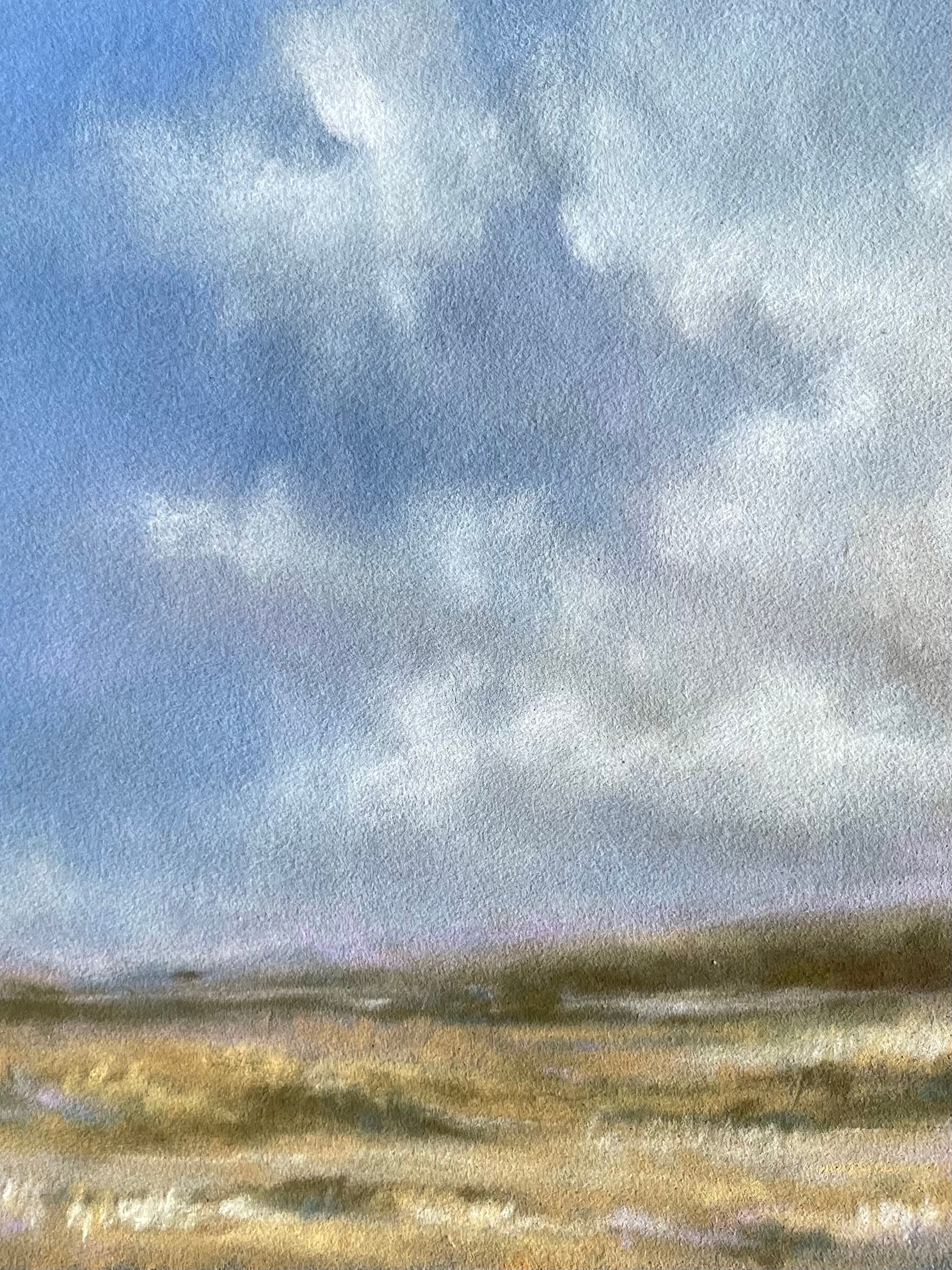 Soft Skies