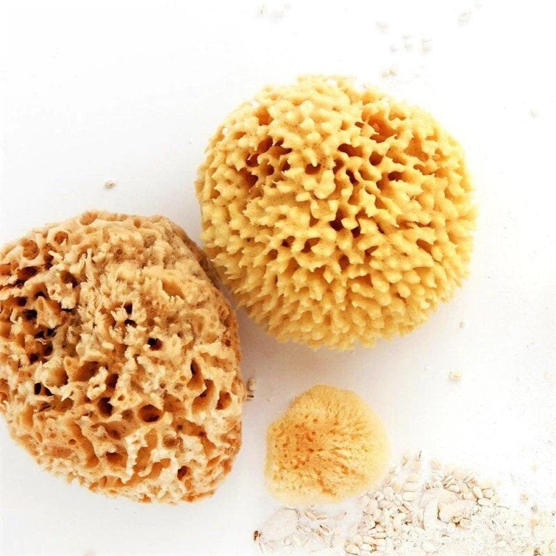 Organic Sea Sponges