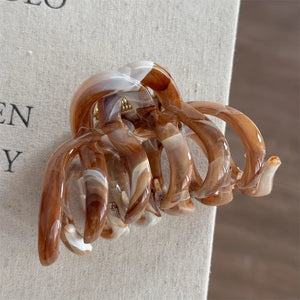 Assorted Oversized Claw Clip