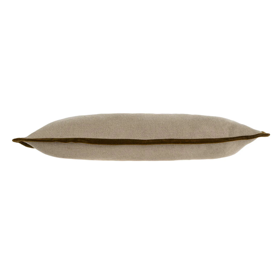 Velvet Trim Pillow