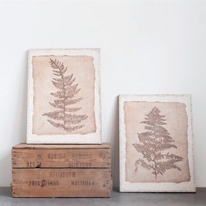 Fern Wall Art
