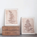 Fern Wall Art