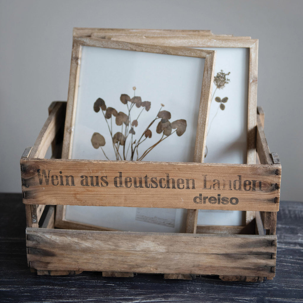 Framed Pressed Botanical Prints