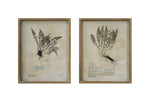 Vintage Fern Shadow Box
