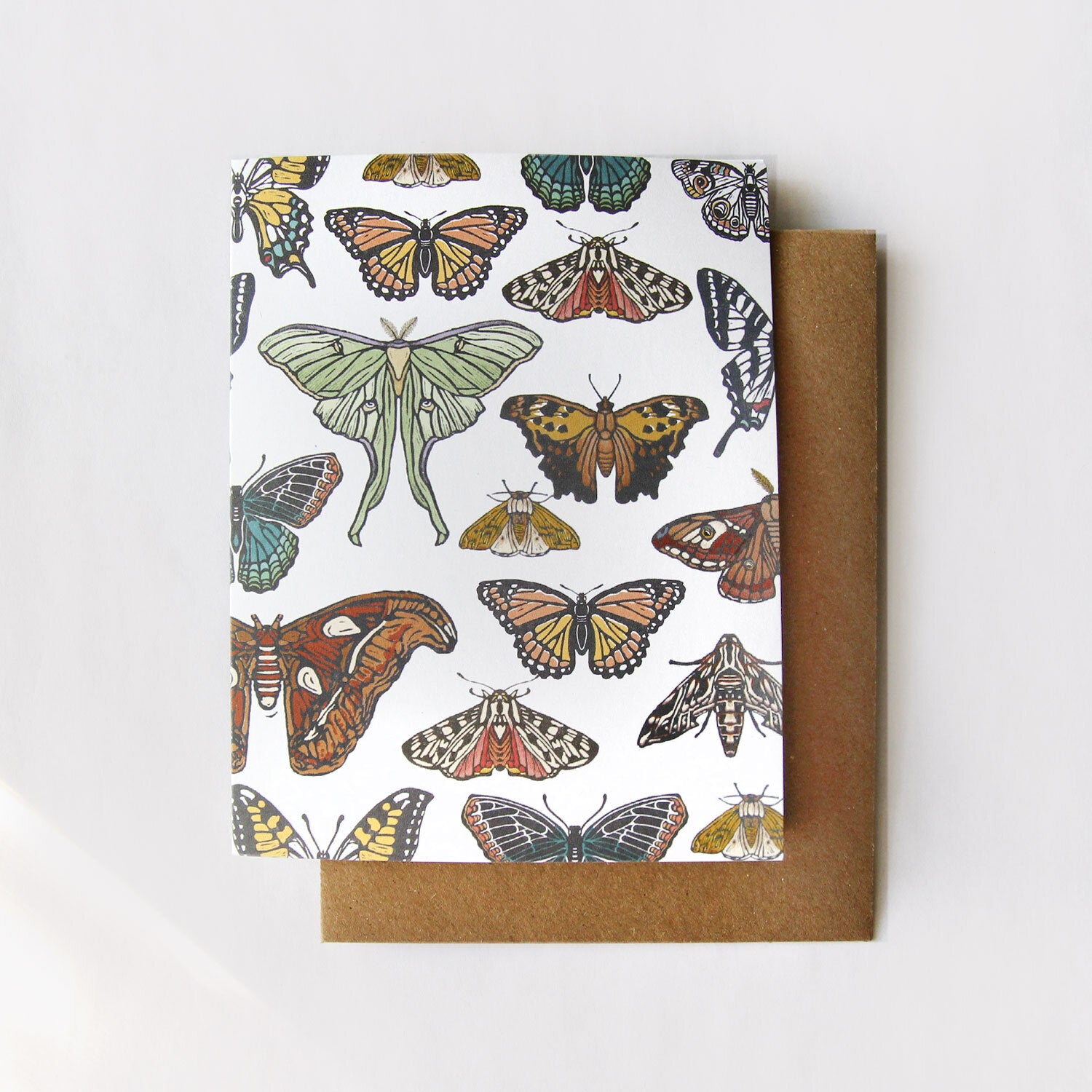 Butterfly + Moth Boxed Card Set
