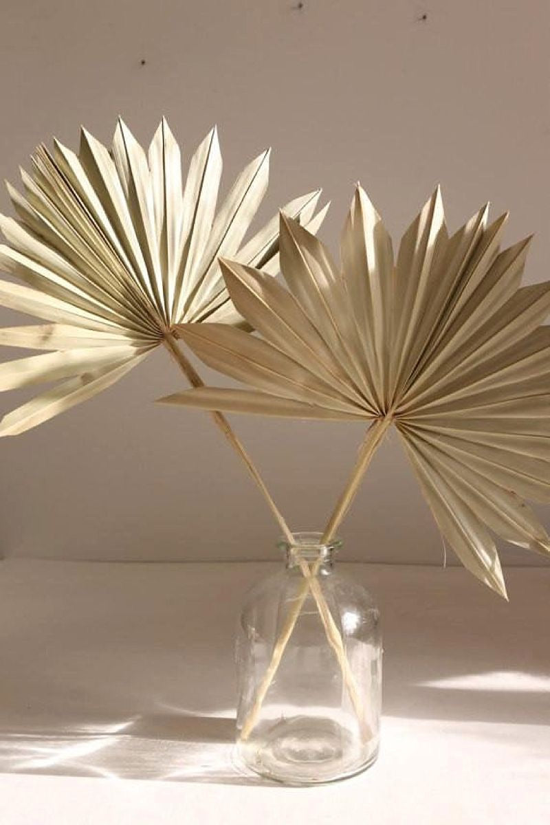 Dried Natural Palm Bunch