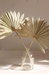 Dried Natural Palm Bunch