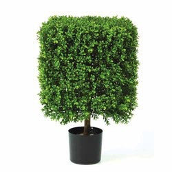 Boxwood Topiary