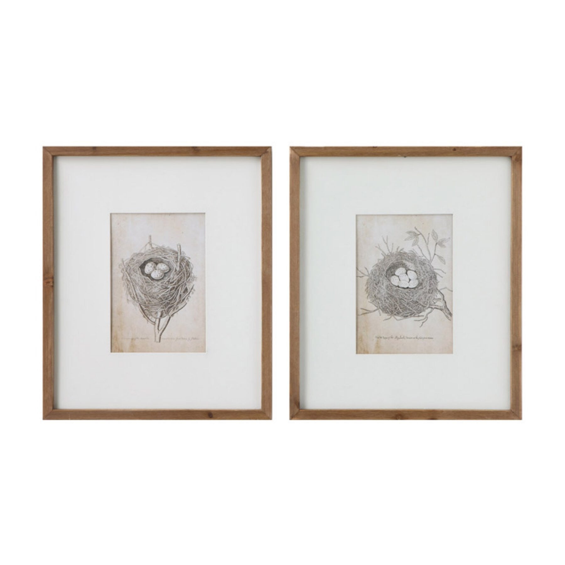 Nest + Egg Wall Decor