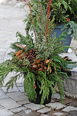 Outdoor Container Workshop