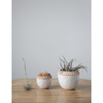 Planters with Rattan Stitching